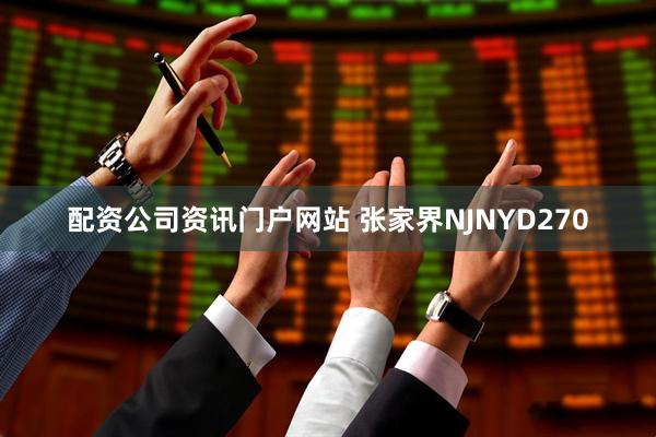 配资公司资讯门户网站 张家界NJNYD270