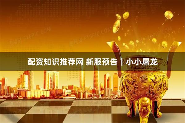 配资知识推荐网 新服预告｜小小屠龙